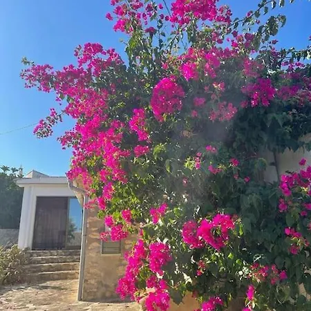 Rustico 'olta' In Finca, See-and Garden Side Teulada